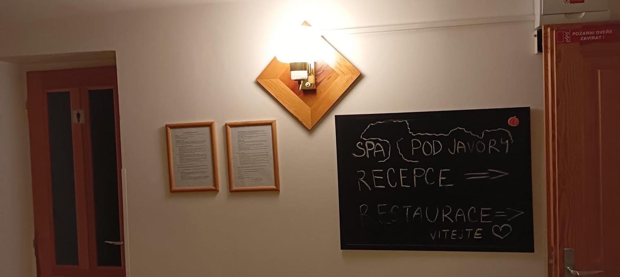Spa Pod Javory Nejdek Εξωτερικό φωτογραφία